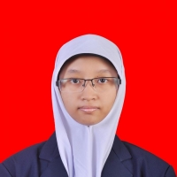 Aida Nurul Islami