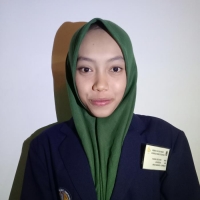 Shinta Aulia Damayanti