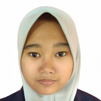 Nurul Hidayatul Ummah