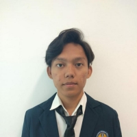 Andi Aldino Prianjaya