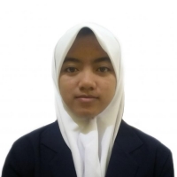 Hana Nur Hamida