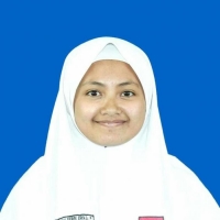 Darmi Febri Erika Putri