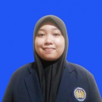 Elok Nur Aini