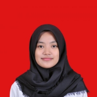 Dian Maulida Firsa