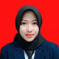 Erlin Amelia Putri