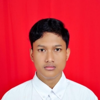 Muhammad Aris Hidayat