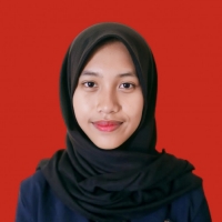 Intan Nur Aini