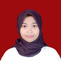 Ilmina Mufida Hamzah