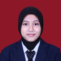 Aina Nur Rohmatin