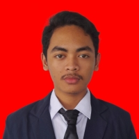 Muhammad Ainun Najib