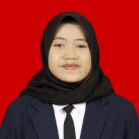 Dini Zulin Mufita