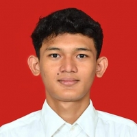 Muhammad Hafidz Alfansyah