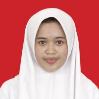 Choirun Nisa Aulia