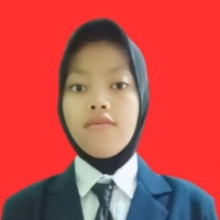 Aulia Putri Nur Maulida