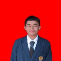 Phoenix Widi Alfianto