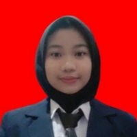 Choirun Nisa Aulia